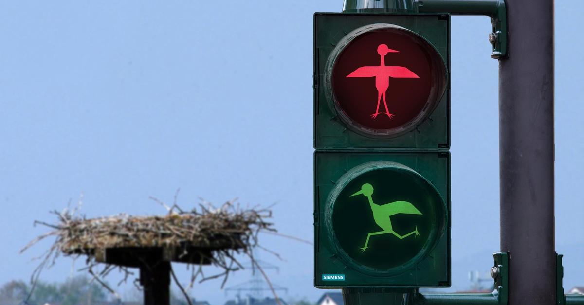The residents of Schierstein are still waiting for their stork traffic ...