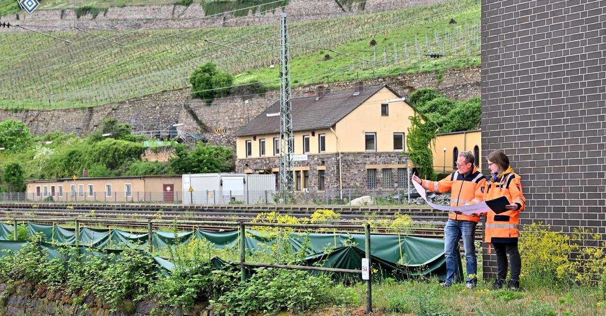 L-ckenschluss-am-Radweg-bei-R-desheim-startet-2025