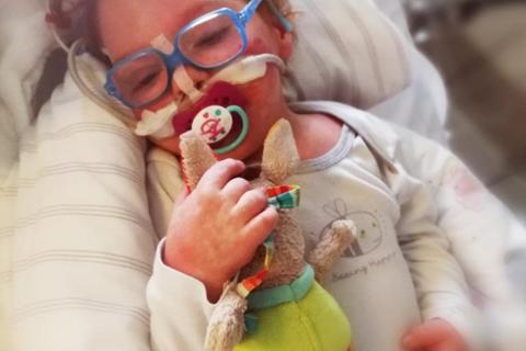 Wochenlang bangte das HSK-Team um das Leben des kleinen Gerrit.