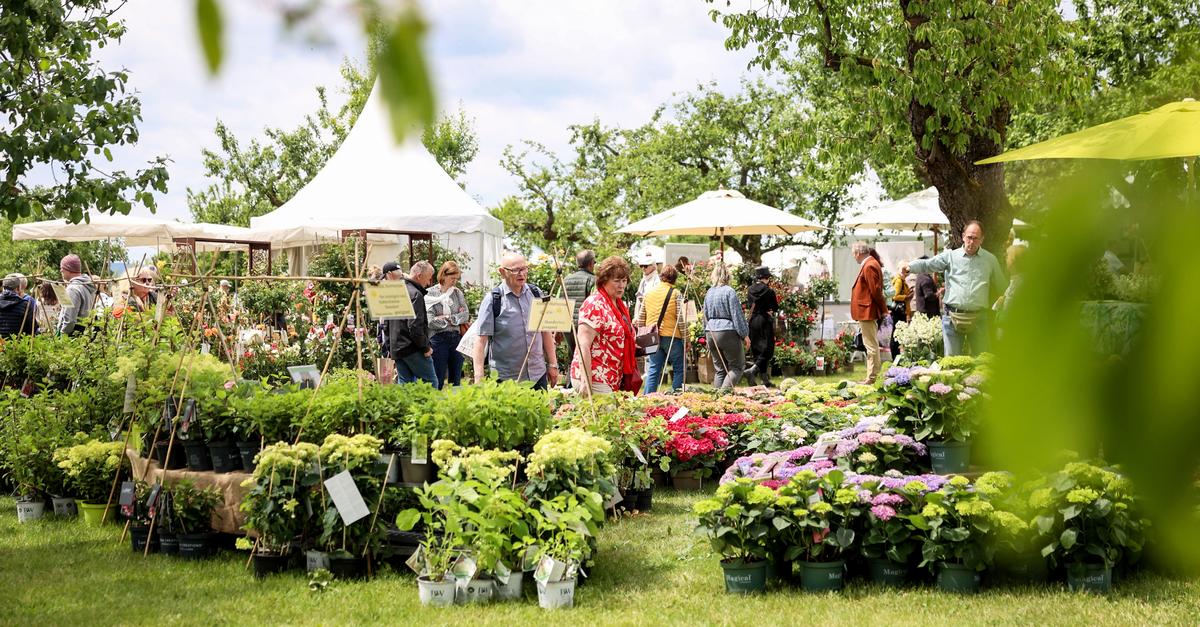Princely Garden Festival: Eberbach Monastery invites you to an experience ...