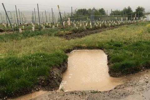 Simpel, aber wirkungsvoll: In Erdtaschen wie dieser kann sich bei Starkregen das Wasser sammeln und dann langsam im Boden versickern. 60 dieser Sickergruben gibt es mittlerweile in den Eltviller Weinbergen.