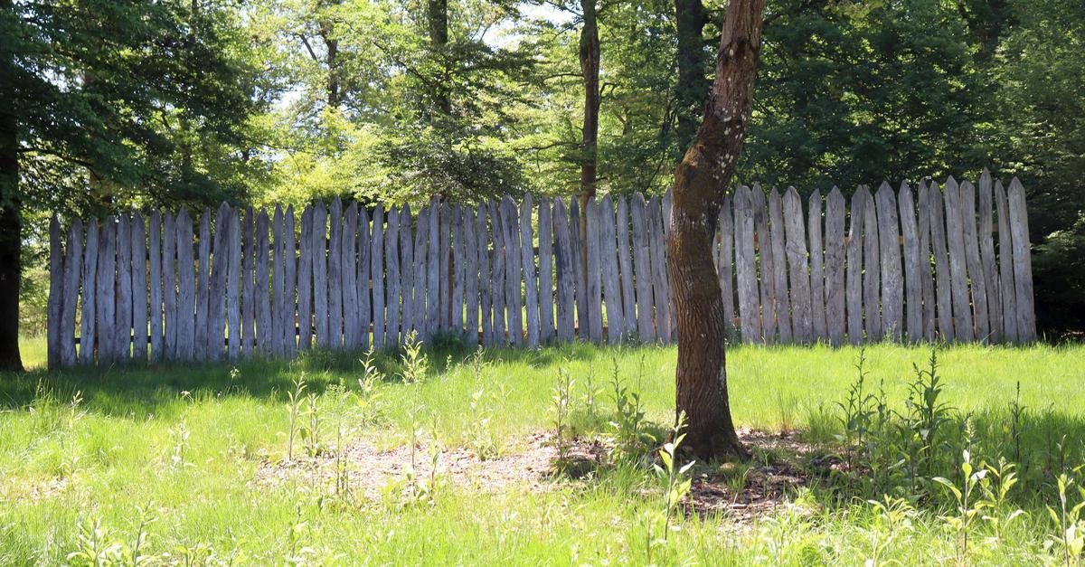 Hiking with History: The Limes Trail in Huppert Connects Nature and Roman ...