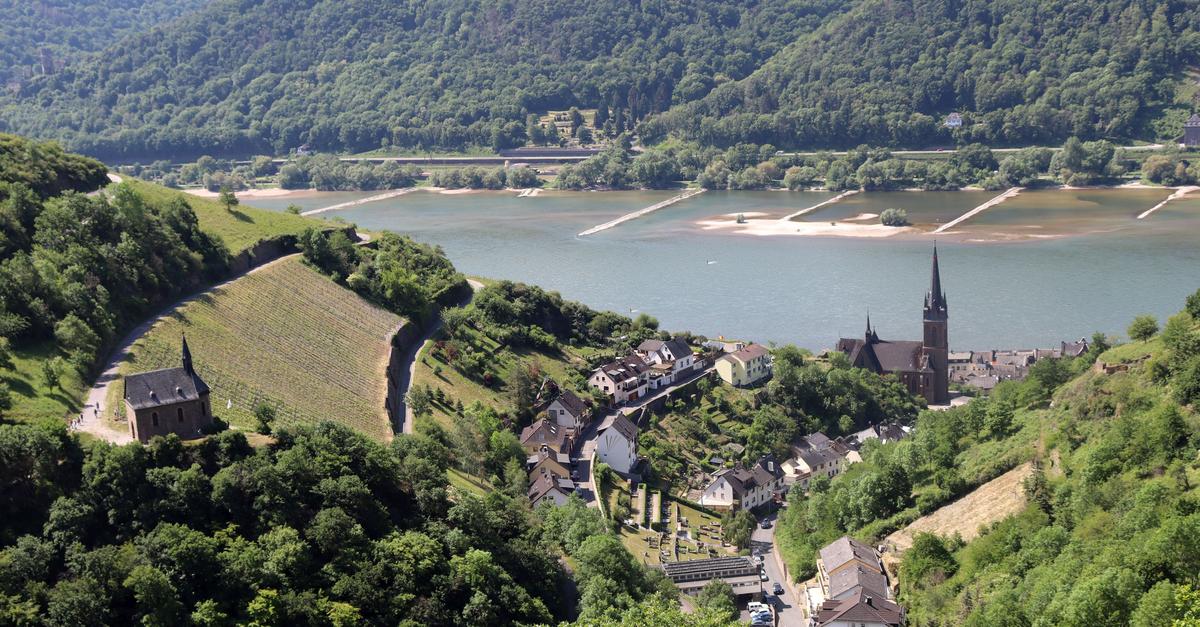 Wandern mit Weitblick: Warum der „Rhein-Wisper-Glück“ so beliebt ist