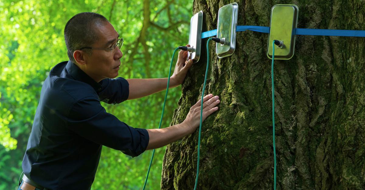 Kinostart-der-Woche-Silent-Friend-