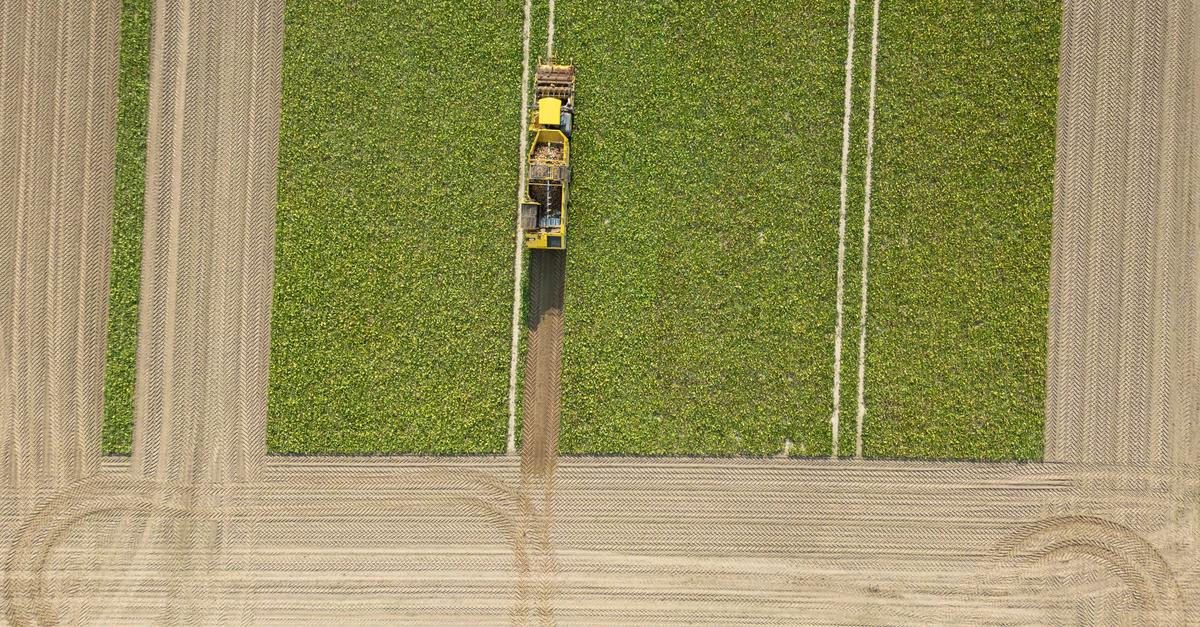 Gr-ne-fordern-Pachtpreisbremse-f-r-Hessens-Landwirtschaft