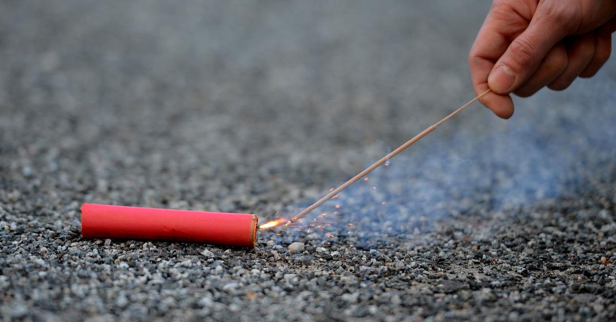 Von-B-llern-ver-ngstigter-Hund-f-hrt-alleine-Zug