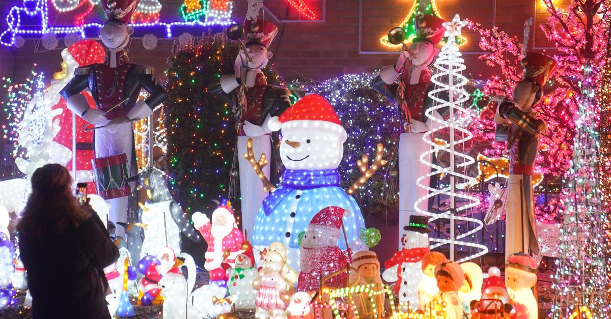 Expertin-Helle-Weihnachtsbeleuchtung-st-rt-Tiere-Tipps