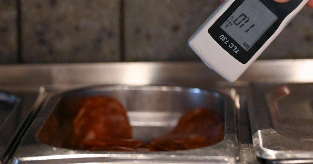 Ekel-Funde-in-Restaurants-darum-sind-Kontrollen-l-ckenhaft