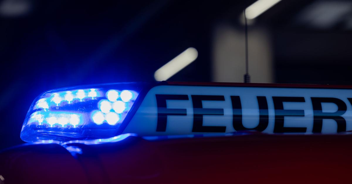 Hunderte-Schweine-sterben-bei-Feuer-in-Stall