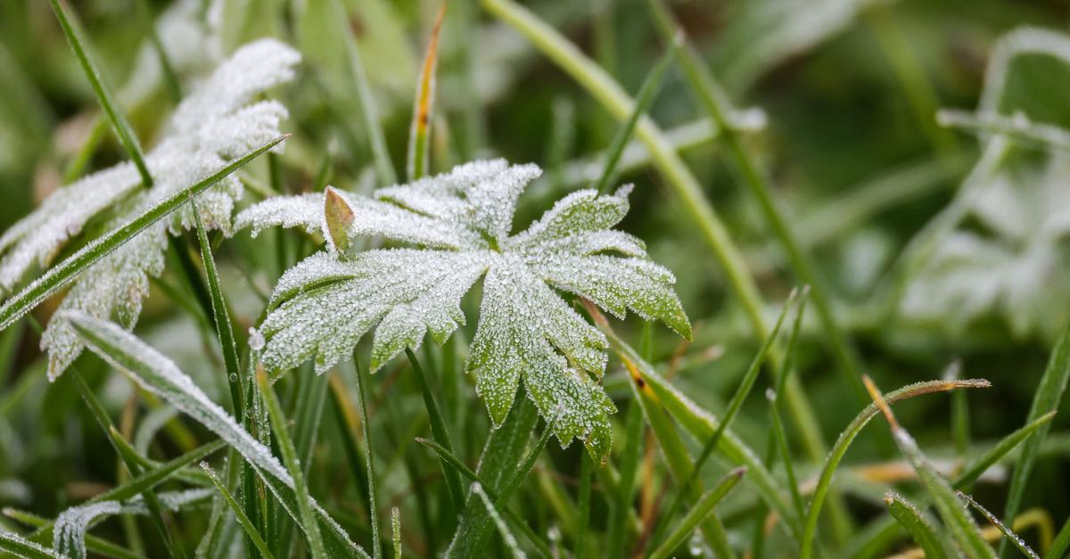 Erster Schnee in Hessen möglich