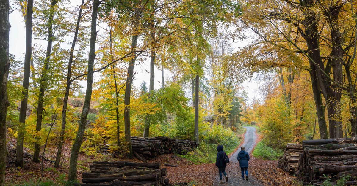 V Hessnu v prihodnjih dneh pričakovati do 16 stopinj Celzija