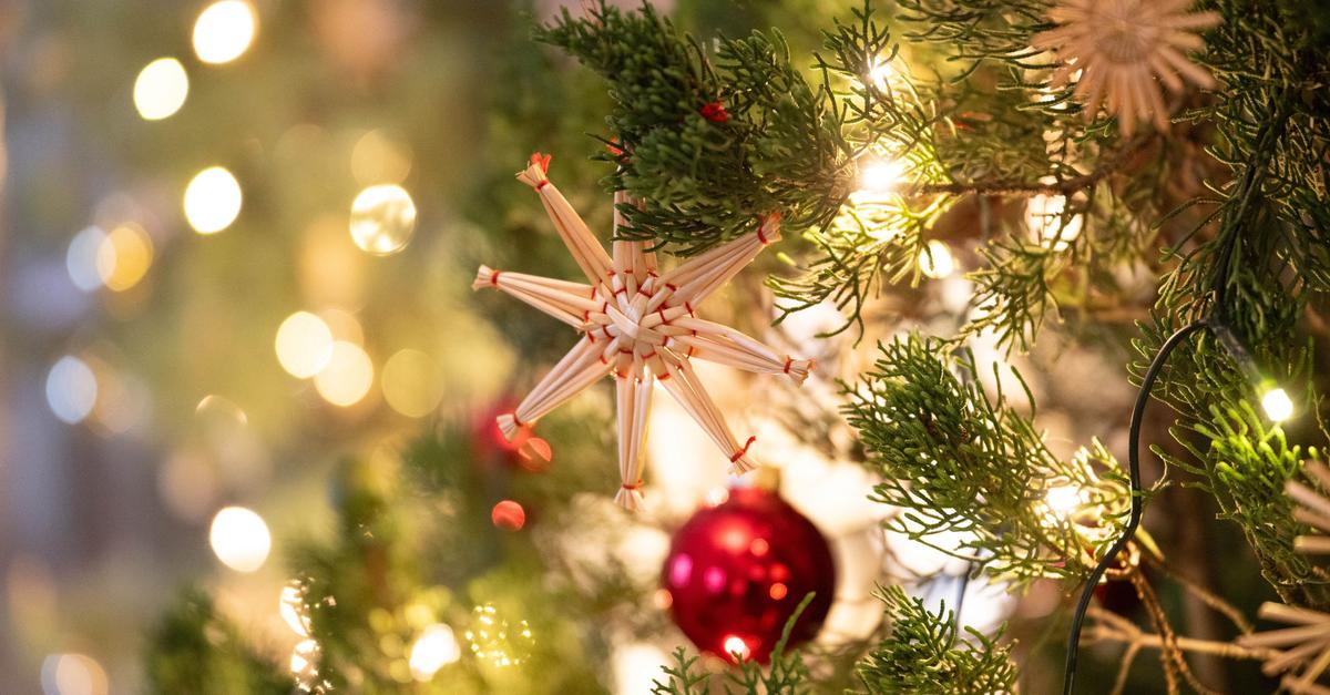 Geschlagene-Esel-und-zerst-rte-Deko-auf-Weihnachtsmarkt