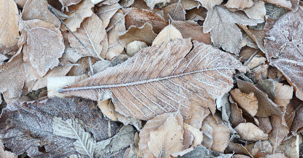 Spr-hregen-Gl-tte-und-Sonne-in-Hessen-zum-Jahresende