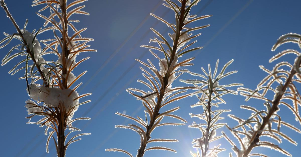 Polare-Luft-l-sst-es-in-Hessen-kalt-werden