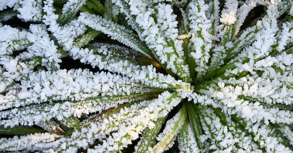 Silvesternacht-in-Hessen-eher-frostig-und-ungem-tlich