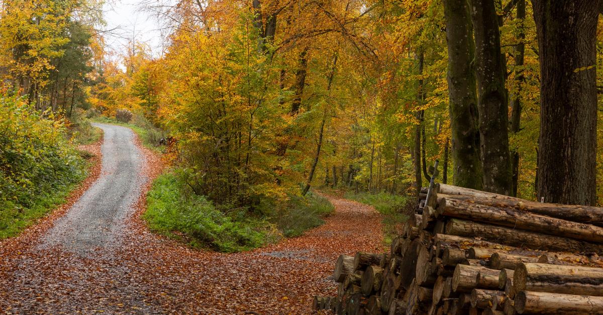 Herbst-in-Hessen-In-keinem-Bundesland-weniger-Sonnenschein
