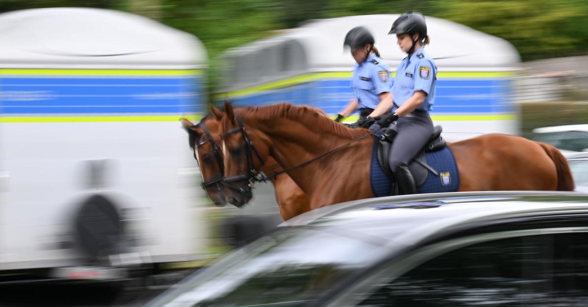 Polizeipferde-in-Hessen-mehr-als-200-Eins-tze-im-Jahr