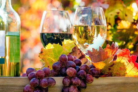 Was in welchem Glas ist, ist die interessante Frage bei der Weinprobe am 24. November. © StockAdobe