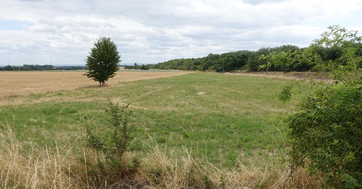 There are plans for a new Wallau East III industrial park east of the A3.