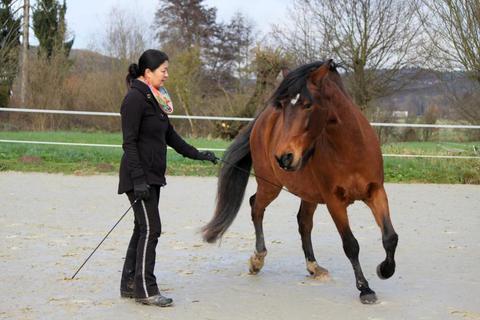 Natascha Chin mit ihrem Pferd Romero.Foto: Hannelore Wiedemann  Foto: Hannelore Wiedemann