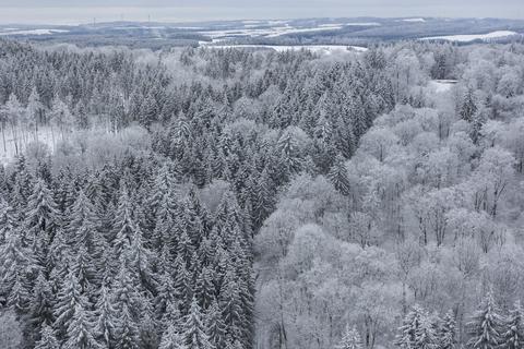 Die Wälder in Hessen wurden am Wochenende mit Schnee bedeckt. Das lockte auch viele Besucher aus dem Umland an.  Foto: dpa