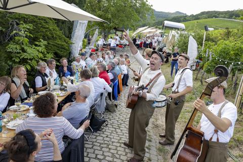 Die Gruppe Stout spielt für die Gäste der Steinberger Tafelrunde im Weinberg.