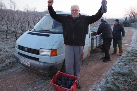 Durchgefroren, aber glücklich: Nebenerwerbswinzer Peter König aus Assmannshausen nach der Eisweinlese. Foto: Wolfgang Blum