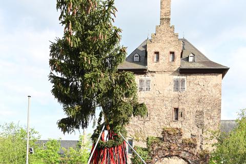 Der SSV Hattenheim hat zum traditionellen Maibaumstellen eingeladen. 
