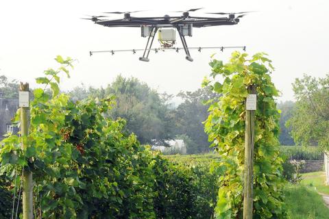 Der Einsatz von Drohnen im Weinberg wie hier in Geisenheim ist derzeit noch Zukunftsmusik, bietet langfristig aber die Chance, den Weinbau auch im Steilhang umweltschonender und wirtschaftlicher zu machen. Archivfoto: Heinz Margielsky