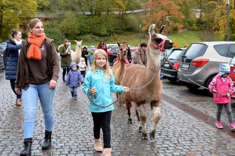 Beim Kulturkids-Tag spazieren Kinder mit Lamas und Alpakas über das Gelände des Klosters Eberbach. Foto: DigiAtel/Heibel