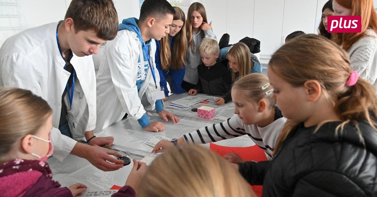 Tag Der Offenen Tür In Der St Ursula Schule In Geisenheim 