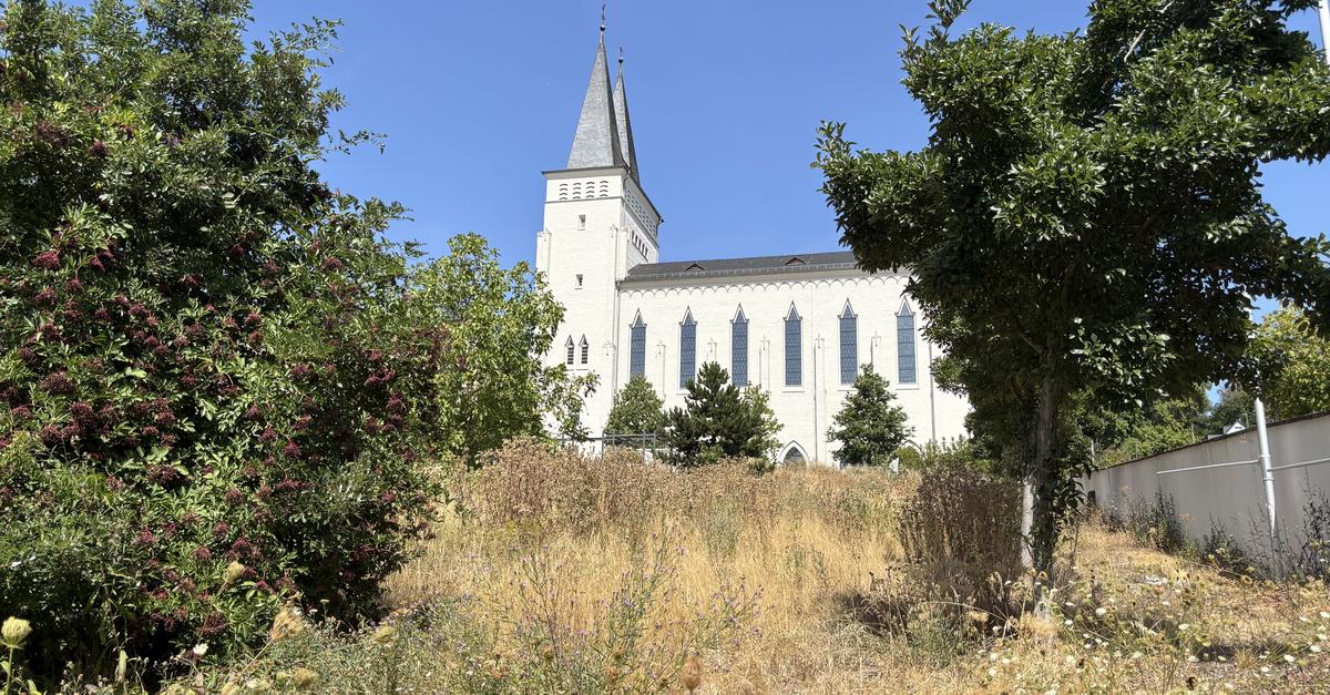 Johannisberg Monastery: Inheritance dispute over will in court