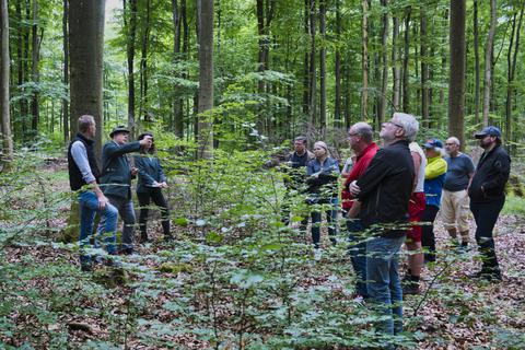 Bei einer Waldbegehung ließen sich Heidenroder Gemeindevertreter von Experten die Planung für die kommenden zehn Jahre vorstellen.