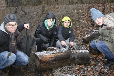 Auch in der kalten Jahreszeit gibt es für Pascal, Nico, Mark und Alina (von links) von der Vitos Jugendwohngruppe im Wald viel zu entdecken.Foto: Stefan Gärth  Foto: Stefan Gärth