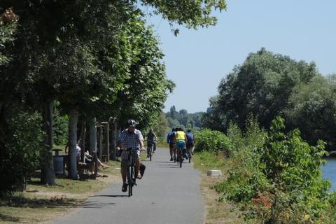 Seit der Leinpfad im Rheingau asphaltiert ist, hat die Zahl der Radfahrer drastisch zugenommen, zum Leidwesen der Spaziergänger. Foto: bsd