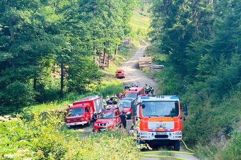 Beim Brand eines abgelegenen Waldstücks bei Stephanshausen stießen die Feuerwehren an ihre Grenzen. Foto: Christian Rossel