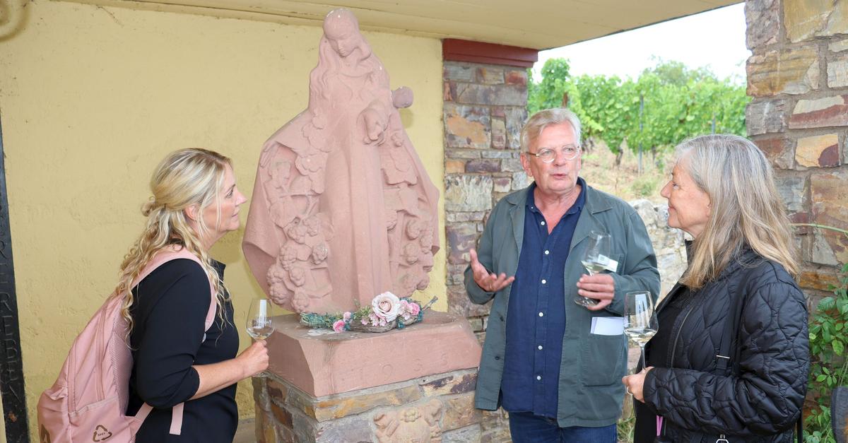Neues Format „Rheingau Insights“: Führungen verbinden Wein ...