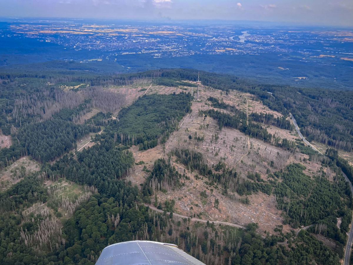 Taunussteiner Bürgerwald So sieht das finale Konzept aus