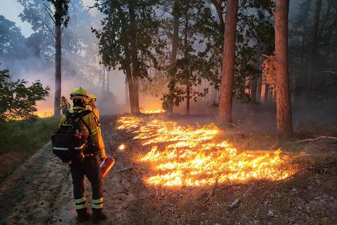 Ein Waldbrand kann imposant sein – auch für einen erfahrenen Feuerwehrmann. Umso wichtiger, dass alle wissen, was bei einem solchen Einsatz zu tun ist. Foto: Mittelbach