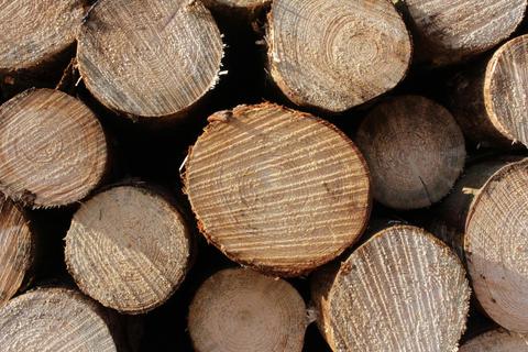 Die Gemeinde Waldems verbucht stark rückläufige Einnahmen aus dem Holzverkauf bei gleichzeitig steigenden Kosten für die Waldbewirtschaftung. Archivfoto: Hartmut Bünger