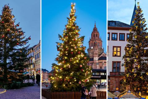 Darmstadt, Mainz oder Wiesbaden, welche Stadt hat den schönsten Weihnachtsbaum?