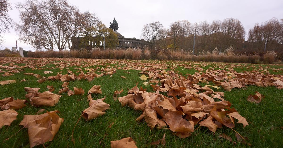 Herbstwetter-in-Rheinland-Pfalz-deutlich-zu-nass-und-zu-mild
