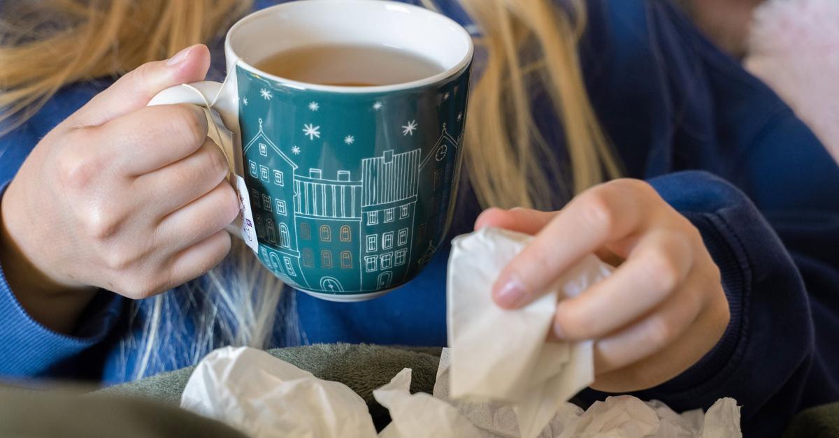 Influenzaviren-in-Rheinland-Pfalz-auf-dem-Vormarsch