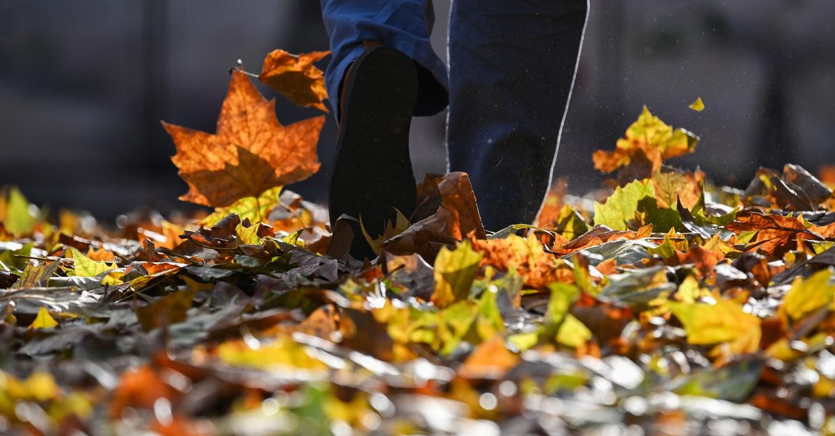 Heiteres-Wetter-zum-Wochenstart-in-Rheinland-Pfalz