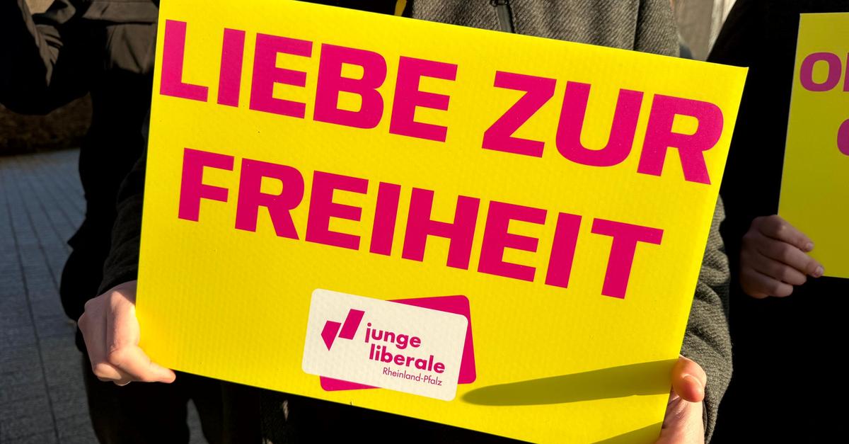 FDP-fordert-Handwerksgymnasium-und-internationale-Schule