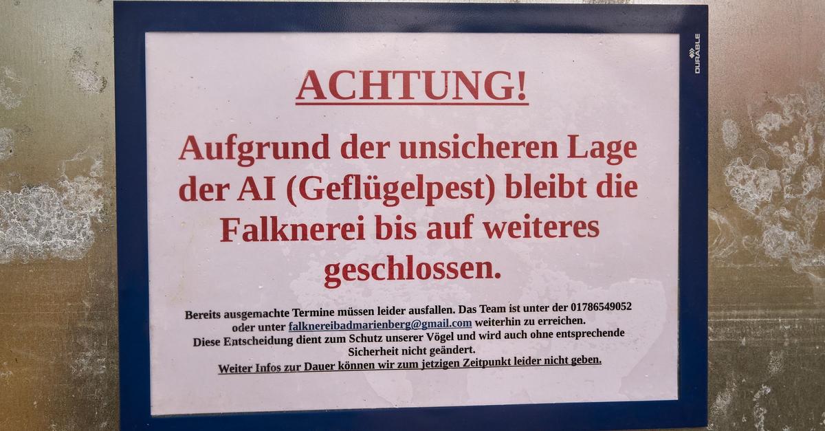 Warum-die-Vogelgrippe-in-Rheinland-Pfalz-ein-Risiko-bleibt