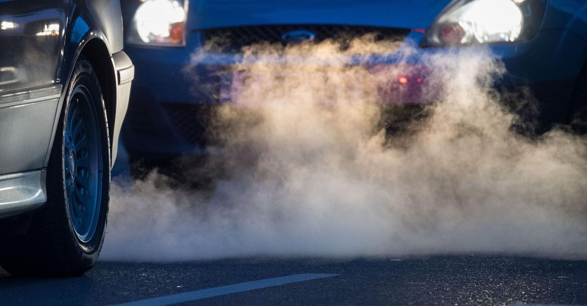 Umfrage-Viele-Rheinland-Pf-lzer-von-L-rm-bel-stigt