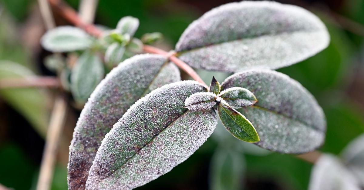 Frost, Nebel und Glätte – Wetter bleibt winterlich