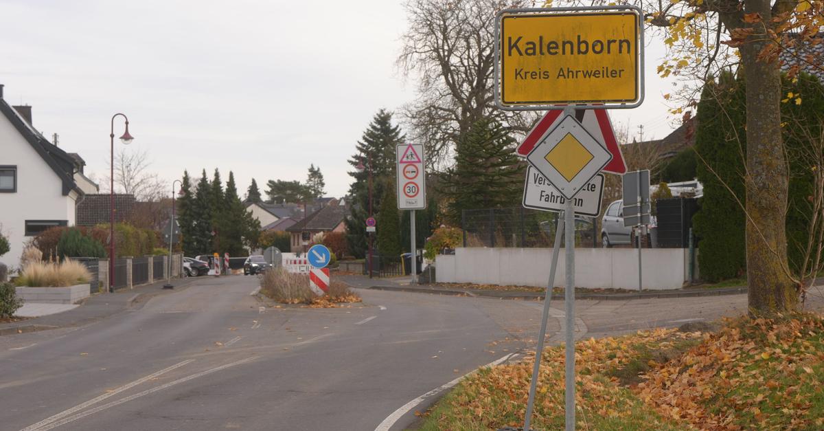 Keine Spur von mutmaßlicher Großkatze - Ist es ein Luchs?