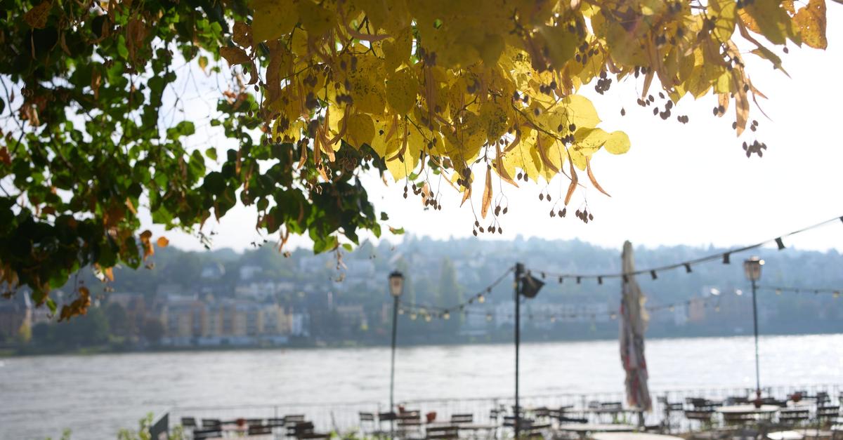 Sehr milde Temperaturen in Rheinland-Pfalz und Saarland